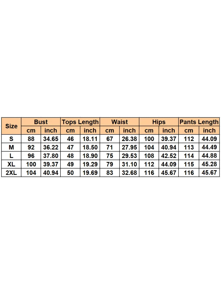 2 Piece Women Sets 2025 Summer Autumn New Arrival Matching Sets Black Color Two Pieces Sets Top Pants Suits Outfits Clothing